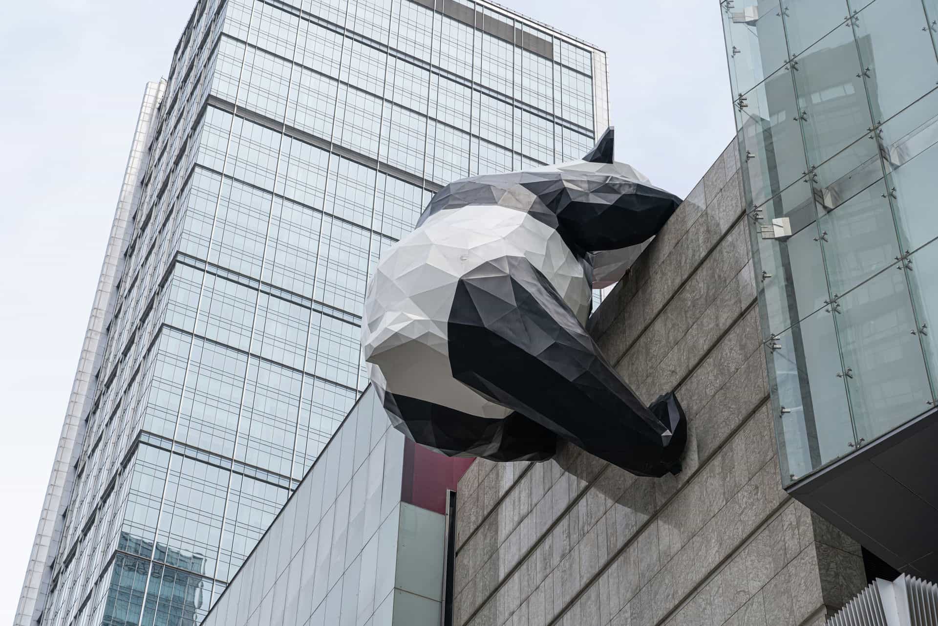 在成都 IFS 爬楼的大熊猫